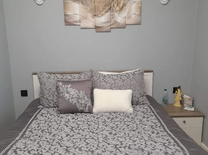 D&a 公寓 什切齐内克